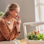 <h1>The Smart Farm Fix: A Practical Playbook to Make Your Smart Garden System Actually Produce</h1>
