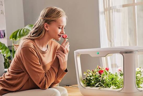 <h1>The Smart Farm Fix: A Practical Playbook to Make Your Smart Garden System Actually Produce</h1>